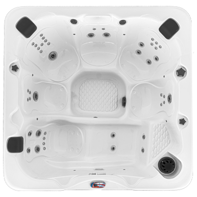 Hot Tubs, Spas, Portable Spas, for sale American Spas AMZ-745L